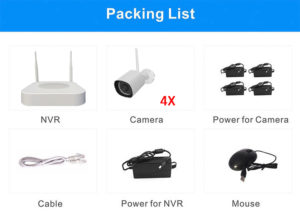 A Quick Guide to NVR Camera System